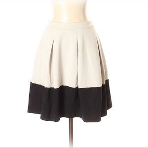 Express Bicolor Skirt